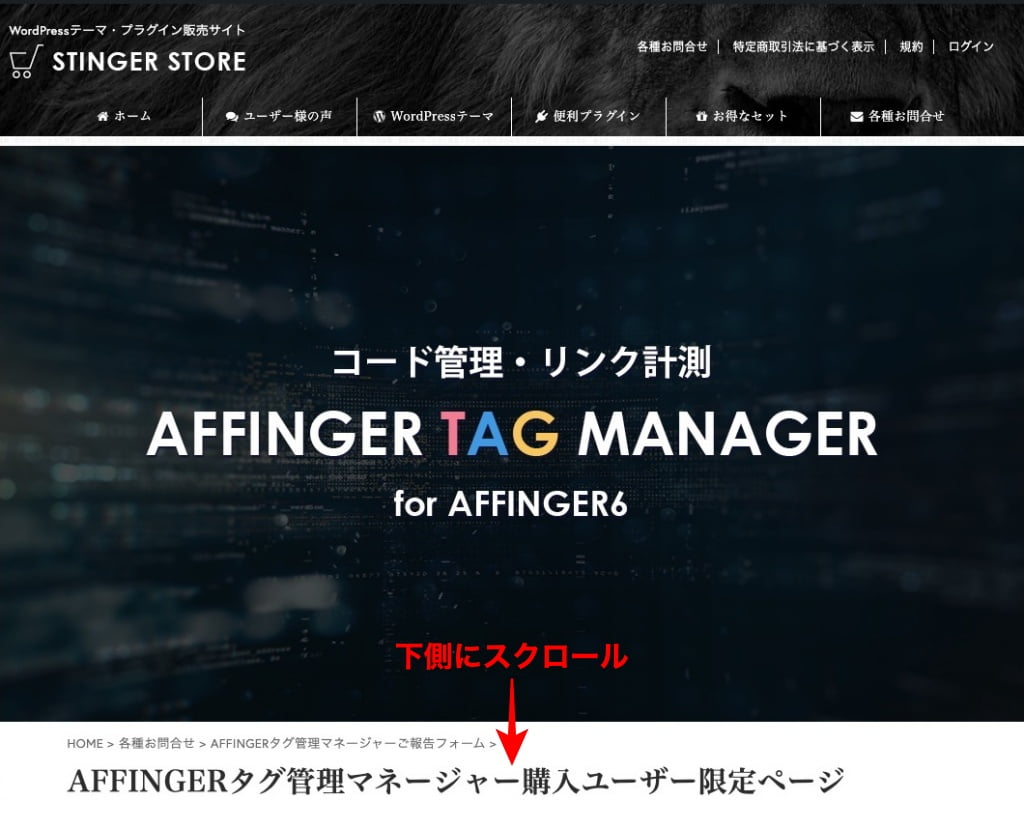 AFFINGERタグ管理マネージャー購入ユーザー限定ページ-2