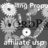 アフィリエイト「USP」商品が売れる記事はこれ捉えている！初心者必見