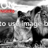AFFINGER6 画像ブロックの使い方！メディア：無料画像のダウンロード情報あり
