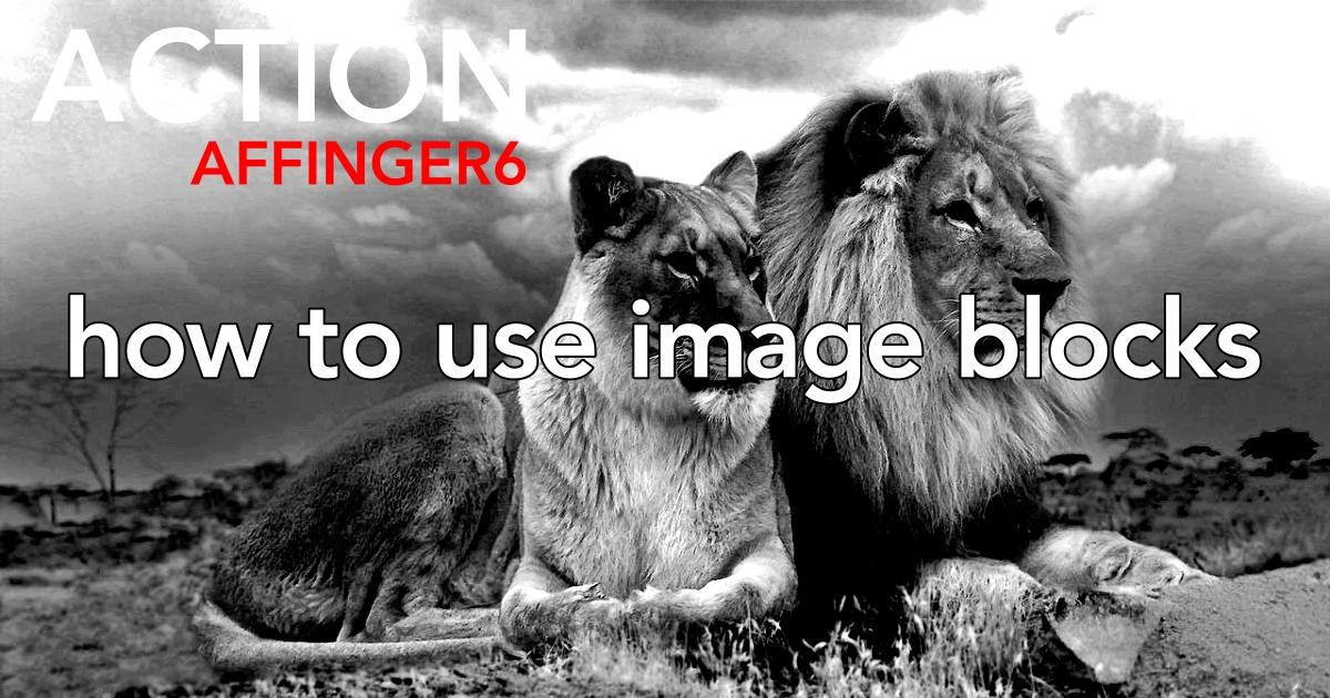AFFINGER6 画像ブロックの使い方！メディア：無料画像のダウンロード情報あり