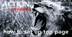 AFFINGER6 トップページの設定方法【ブログ型からサイト型に変更する方法】