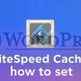 18928_wordpress-how-to-set-litespeed-cache-1