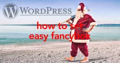 AFFINGER6で画像をポップアップ!Easy FancyBoxの導入・設定・使い方「画像の拡大表示をオシャレに」