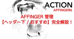 34679_affinger6-under-header-recommended-settings-2