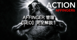 35430_affinger6-seo-2